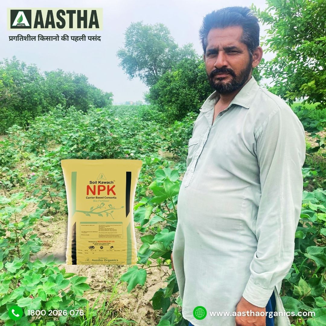 The Way Farmer Manpreet Singh Enhanced His Paddy and Cotton Yields Using Soil Kawach NPK and Two Drop Super Spreader